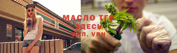 дживик Краснослободск