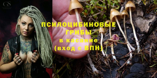 бутират Краснотурьинск