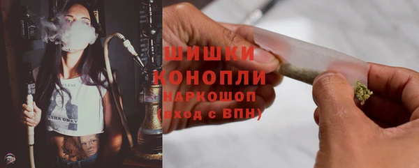 дживик Краснослободск