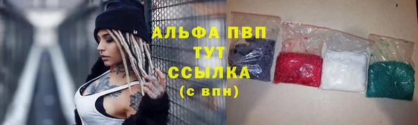 дживик Краснослободск