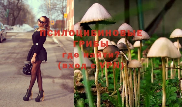 дживик Краснослободск