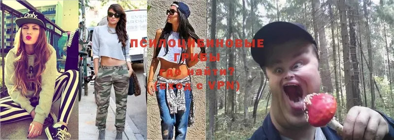 купить  цена  Усть-Джегута  Псилоцибиновые грибы ЛСД 