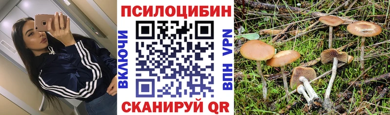 mega ТОР  Усть-Джегута  Псилоцибиновые грибы прущие грибы 