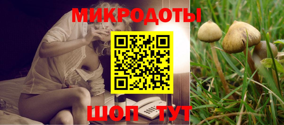 Галлюциногенные грибы мицелий  наркошоп  Усть-Джегута  Вход с VPN 